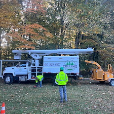 Dying-Decayed-Chestnut-Oak-Tree-Removal-in-Easton-MD 16