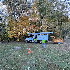 Dying-Decayed-Chestnut-Oak-Tree-Removal-in-Easton-MD 7