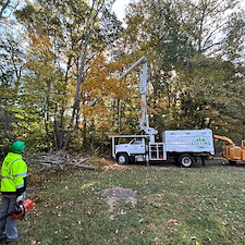 Dying-Decayed-Chestnut-Oak-Tree-Removal-in-Easton-MD 9