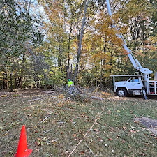 Dying-Decayed-Chestnut-Oak-Tree-Removal-in-Easton-MD 17