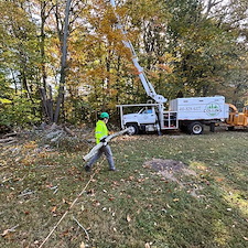 Dying-Decayed-Chestnut-Oak-Tree-Removal-in-Easton-MD 3