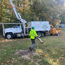 Dying-Decayed-Chestnut-Oak-Tree-Removal-in-Easton-MD 1