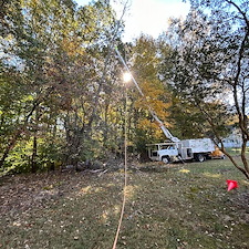 Dying-Decayed-Chestnut-Oak-Tree-Removal-in-Easton-MD 6