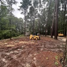 Front-Yard-Cleared-Out-Storm-Damage-in-Denton-MD 4