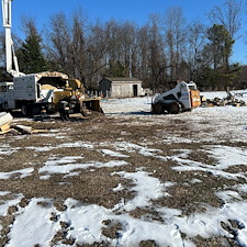 Large-Maple-Tree-Removal-in-Ridgely-MD 4