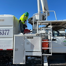 Large-Maple-Tree-Removal-in-Ridgely-MD 0