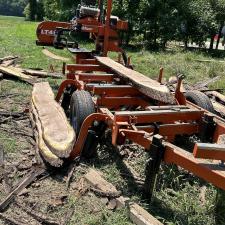 Milling-Walnut-Wood-in-Federalsburg-MD 4