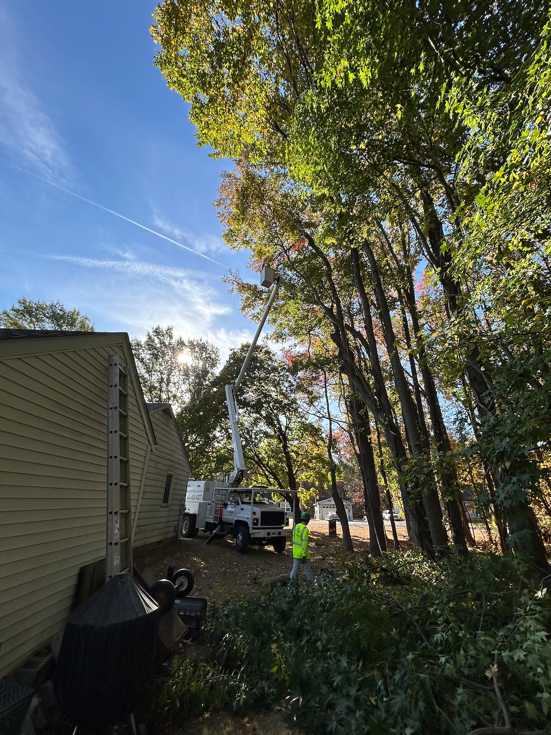 Pruning in Queenstown, MD for House Clearance and Reducing the Likelihood of Failure