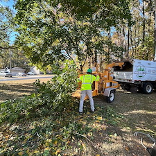 Pruning-in-Queenstown-MD-for-House-Clearance-and-Reducing-the-Likelihood-of-Failure 11