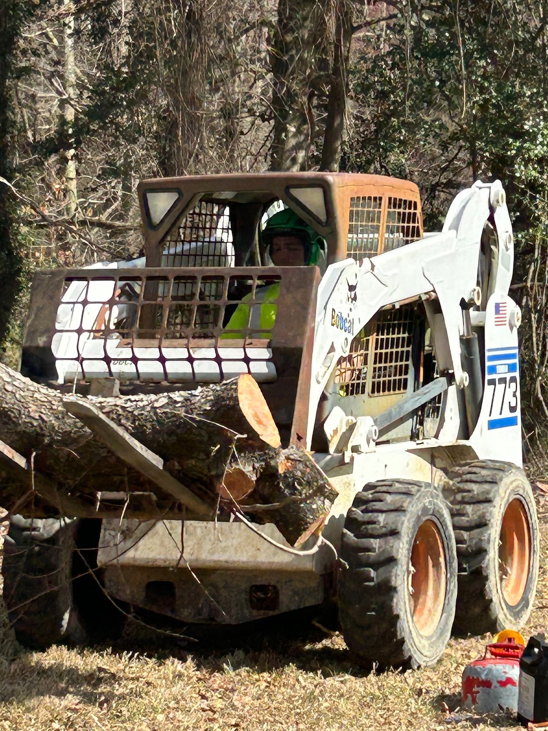 Removal of Storm Damaged Fallen Trees in Denton, MD