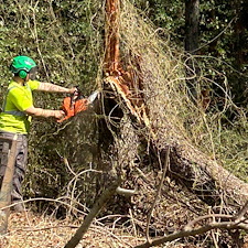 Removal-of-Storm-Damaged-Fallen-Trees-in-Denton-MD 1