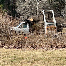 Removal-of-Storm-Damaged-Fallen-Trees-in-Denton-MD 2