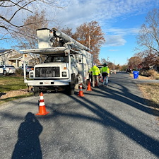 Removing-Two-Silver-Maple-Trees-Beside-Power-Lines-in-Chester-MD 14