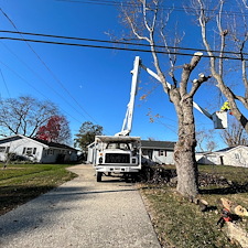 Removing-Two-Silver-Maple-Trees-Beside-Power-Lines-in-Chester-MD 11