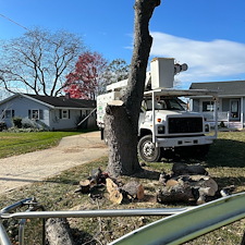 Removing-Two-Silver-Maple-Trees-Beside-Power-Lines-in-Chester-MD 10