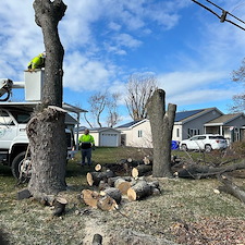 Removing-Two-Silver-Maple-Trees-Beside-Power-Lines-in-Chester-MD 4