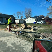 Removing-Two-Silver-Maple-Trees-Beside-Power-Lines-in-Chester-MD 2