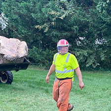 River-Birch-tree-removals-in-Centreville-MD 7