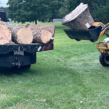 River-Birch-tree-removals-in-Centreville-MD 6