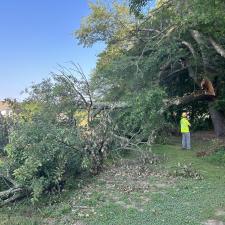 Storm-Damaged-Tree-Removal-in-Queen-Anne-MD 4