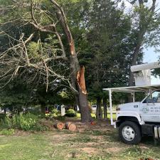 Storm-Damaged-Tree-Removal-in-Queen-Anne-MD 6