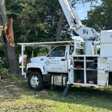 Storm-Damaged-Tree-Removal-in-Queen-Anne-MD 5