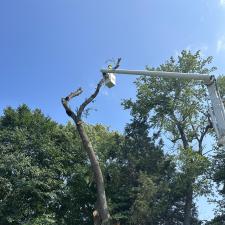 Storm-Damaged-Tree-Removal-in-Queen-Anne-MD 0