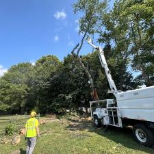 Storm-Damaged-Tree-Removal-in-Queen-Anne-MD 1