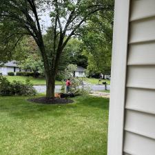 Storm-Damaged-Tree-Removal-Performed-in-Easton-Maryland 1