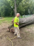 Tree-Removal-in-Cordova-MD 8